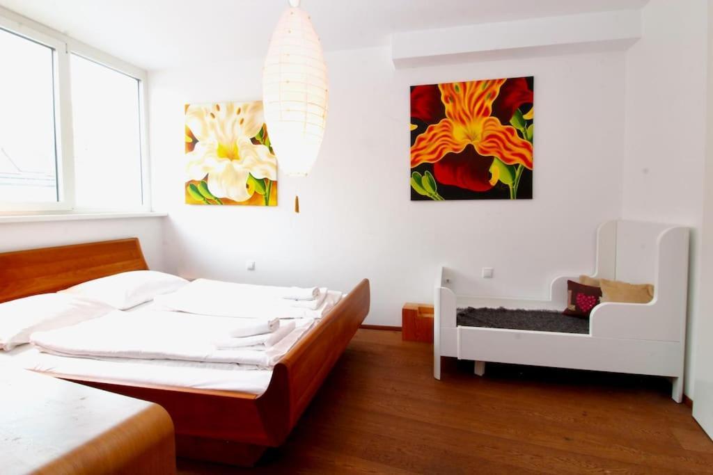 Rooftop Garden Loft 360 View Over Viena